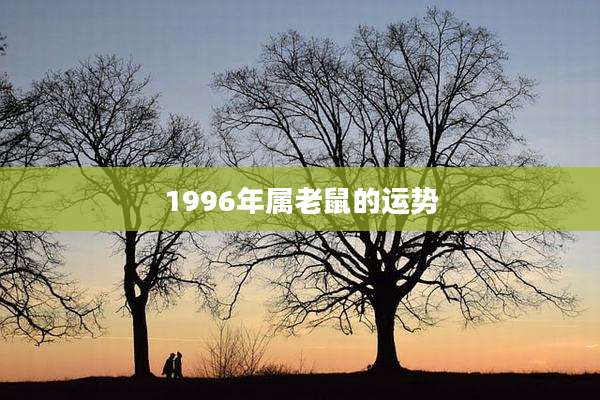1996年属老鼠的运势