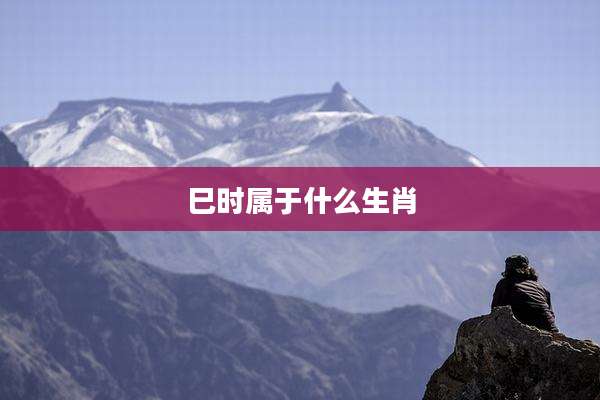 巳时属于什么生肖