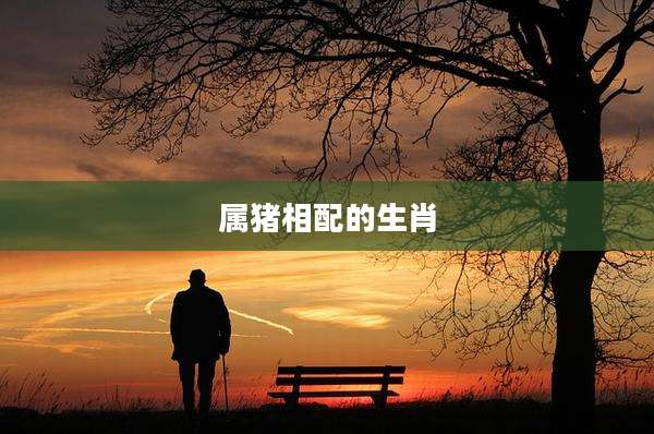 属猪相配的生肖