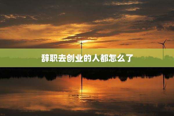 辞职去创业的人都怎么了