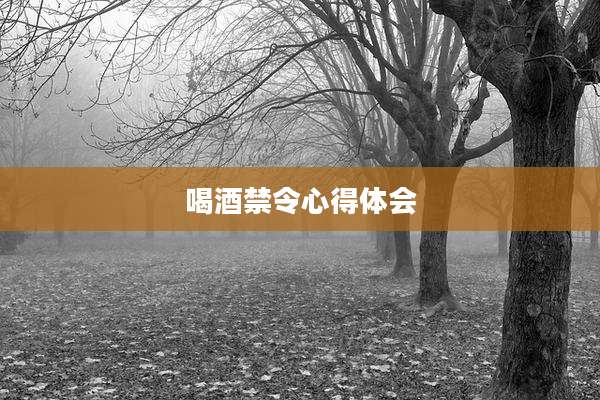 喝酒禁令心得体会