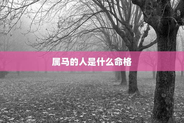 属马的人是什么命格