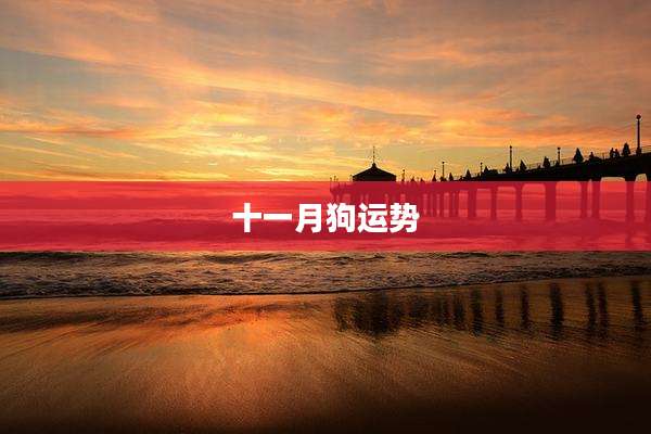 十一月狗运势
