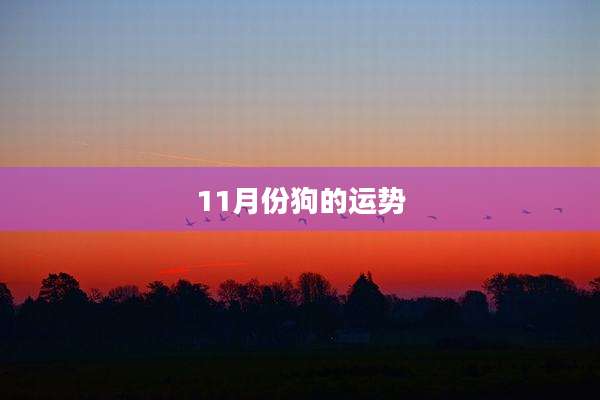 11月份狗的运势