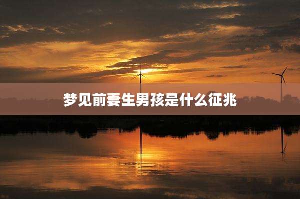 梦见前妻生男孩是什么征兆