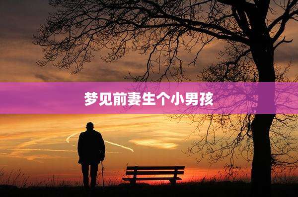 梦见前妻生个小男孩