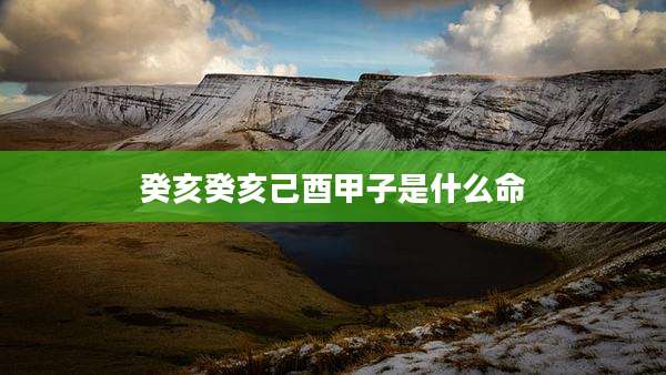 癸亥癸亥己酉甲子是什么命