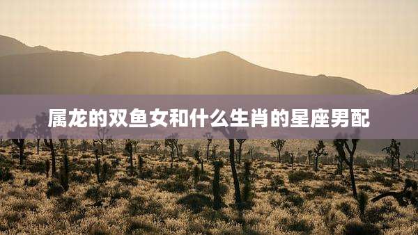 属龙的双鱼女和什么生肖的星座男配