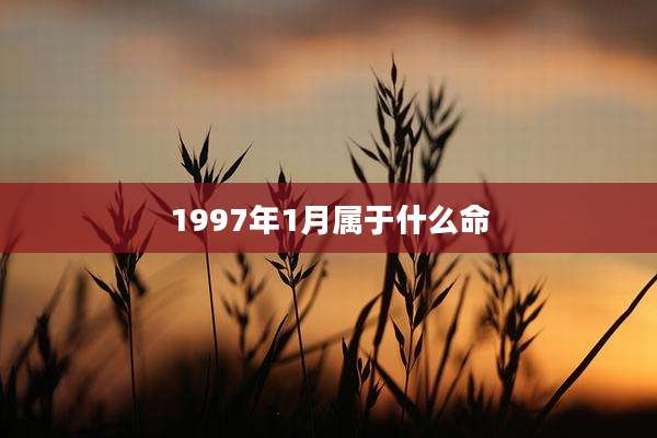 1997年1月属于什么命