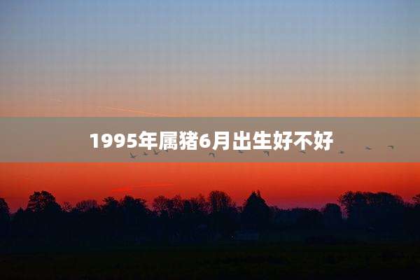 1995年属猪6月出生好不好