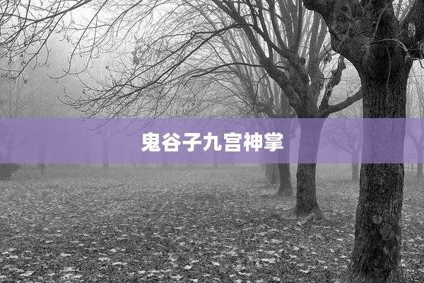 鬼谷子九宫神掌