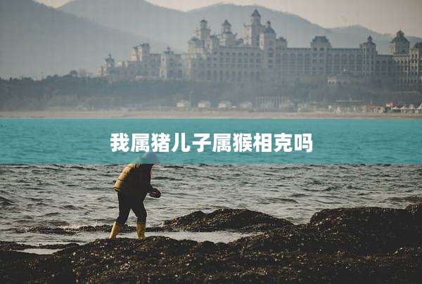 我属猪儿子属猴相克吗