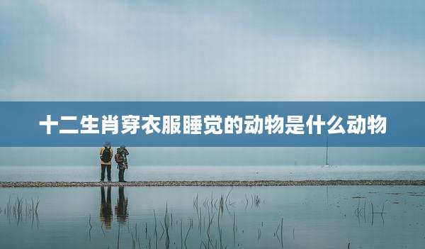 十二生肖穿衣服睡觉的动物是什么动物