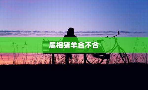 属相猪羊合不合