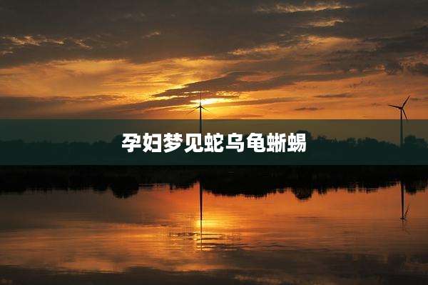 孕妇梦见蛇乌龟蜥蜴