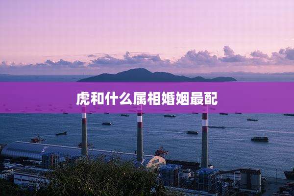 虎和什么属相婚姻最配