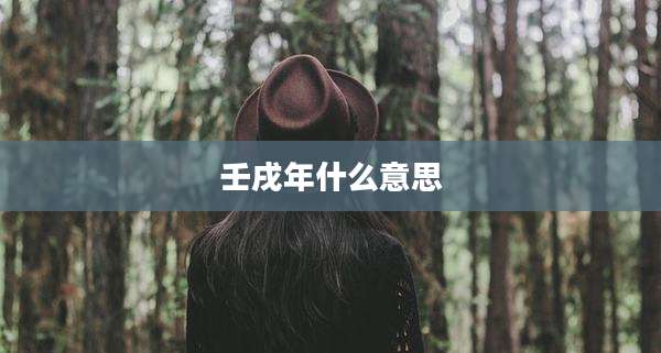 壬戌年什么意思