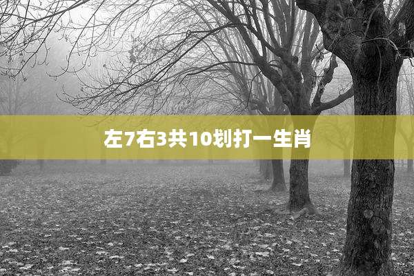 左7右3共10划打一生肖