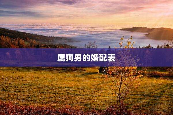属狗男的婚配表