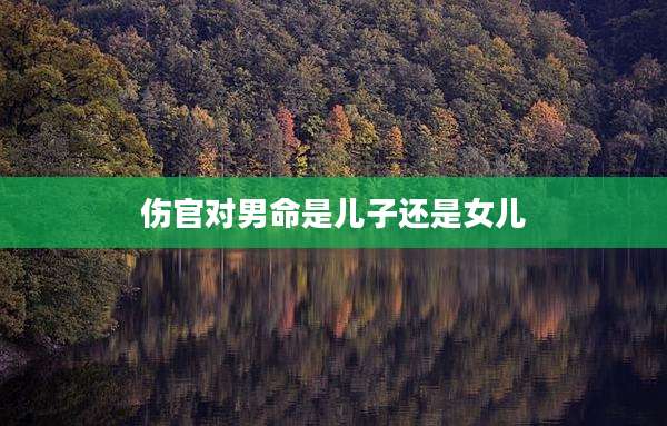 伤官对男命是儿子还是女儿