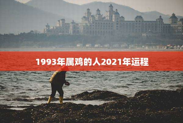 1993年属鸡的人2021年运程