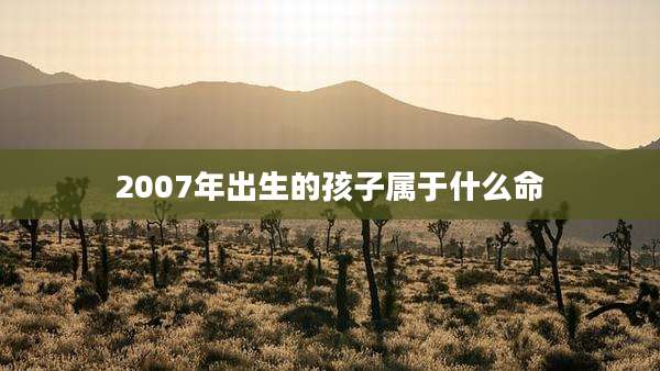 2007年出生的孩子属于什么命