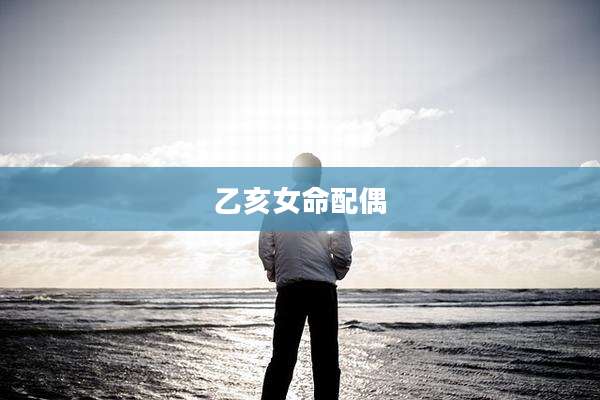 乙亥女命配偶