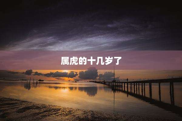 属虎的十几岁了
