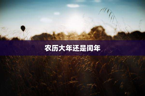 农历大年还是闰年