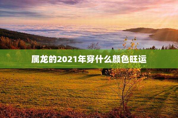 属龙的2021年穿什么颜色旺运