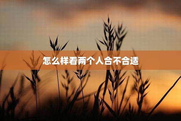 怎么样看两个人合不合适