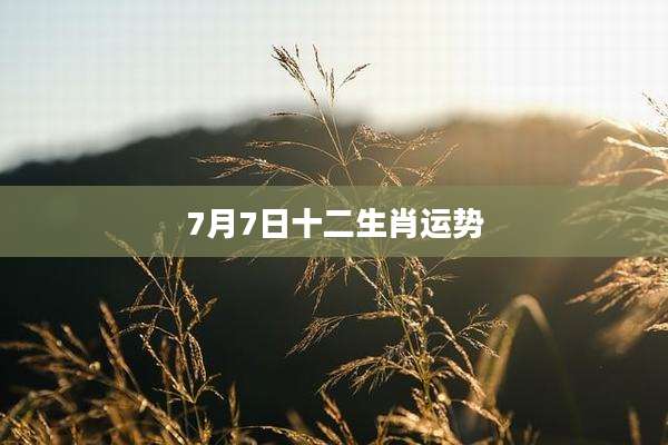 7月7日十二生肖运势