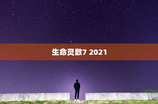 生命灵数7 2021