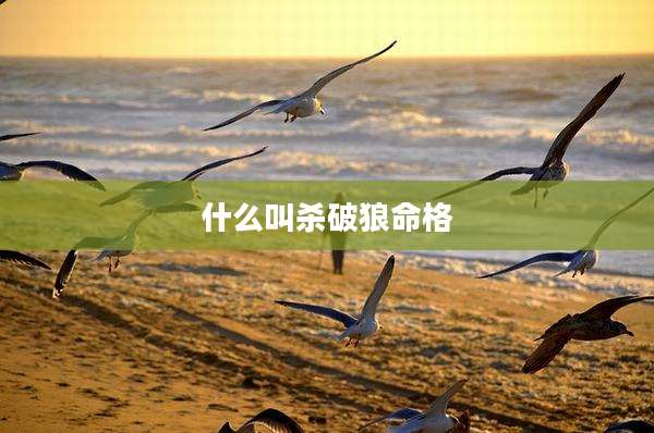 什么叫杀破狼命格