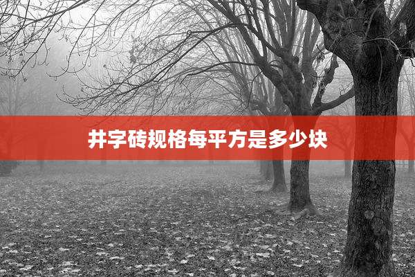 井字砖规格每平方是多少块