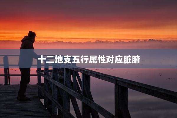 十二地支五行属性对应脏腑
