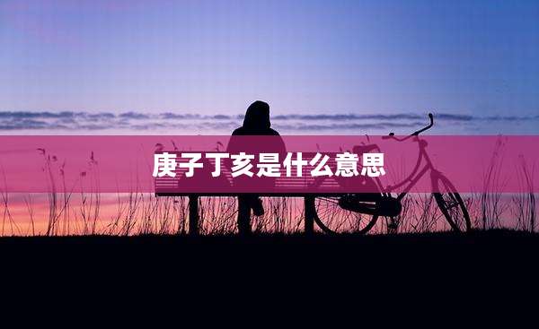 庚子丁亥是什么意思