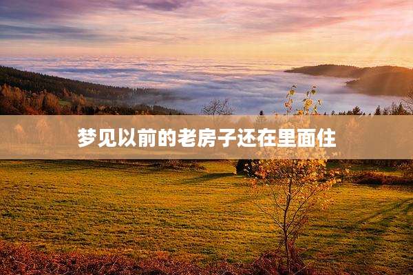 梦见以前的老房子还在里面住