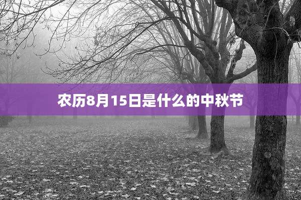 农历8月15日是什么的中秋节