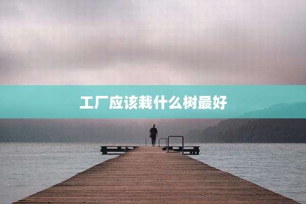 工厂应该栽什么树最好