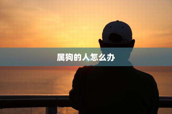 属狗的人怎么办