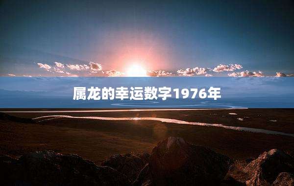 属龙的幸运数字1976年