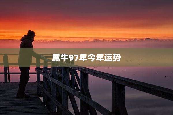 属牛97年今年运势