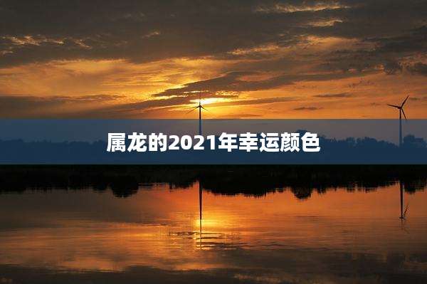 属龙的2021年幸运颜色
