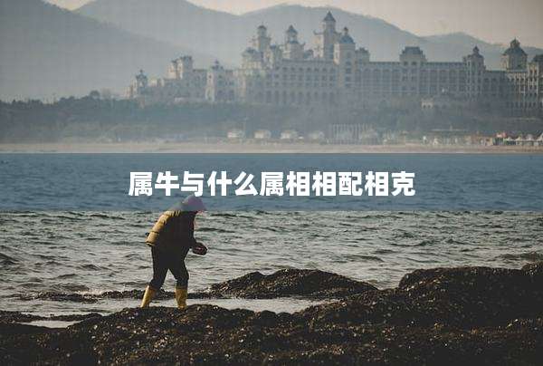 属牛与什么属相相配相克