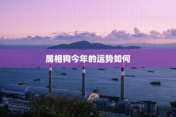 属相狗今年的运势如何