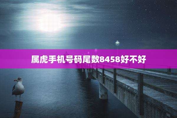 属虎手机号码尾数8458好不好
