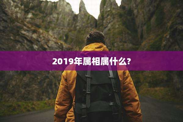 2019年属相属什么?