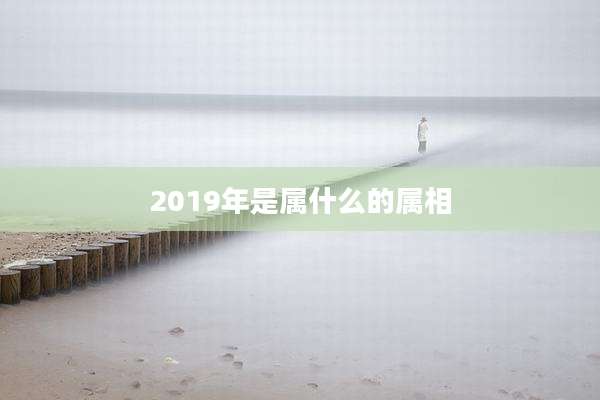 2019年是属什么的属相
