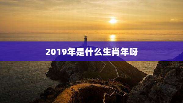 2019年是什么生肖年呀